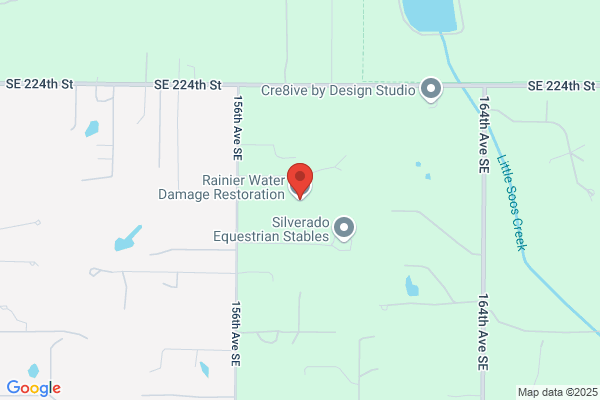 Rainier Water and Fire Restoration