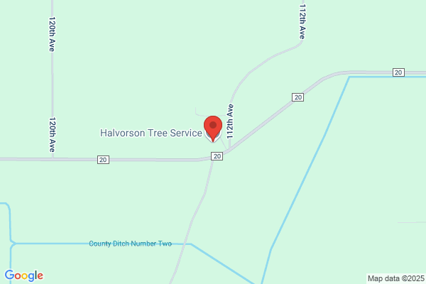 Haverland Tree & Stump Removal