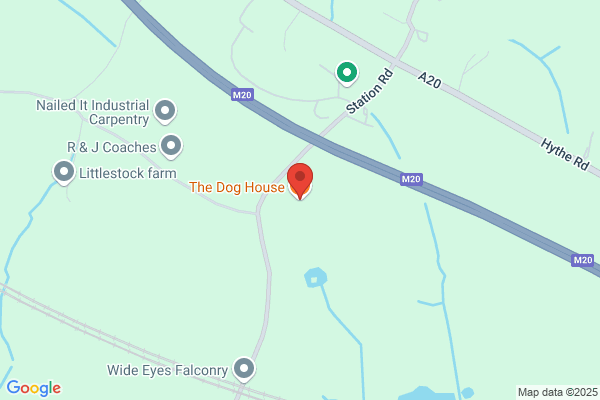 Dog House the
