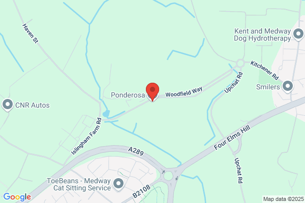 Ponderosa Steak House