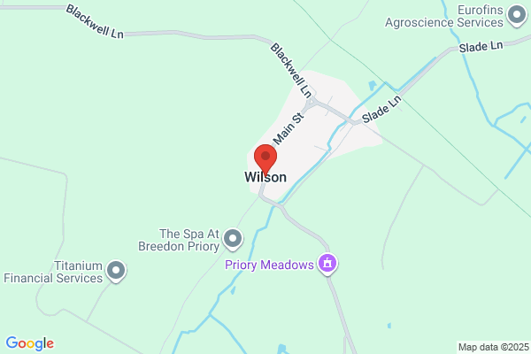 Wilson the