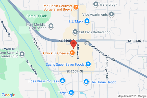 NerdsToGo - Kent, WA