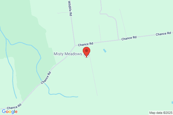 Misty Meadows