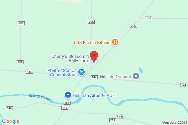 Cherry's Blossom'N Bully Farm LLC
