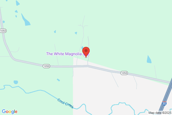 The White Magnolia