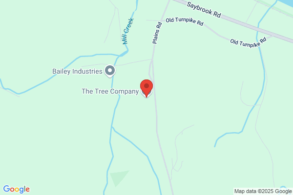 Tree Company Llc the