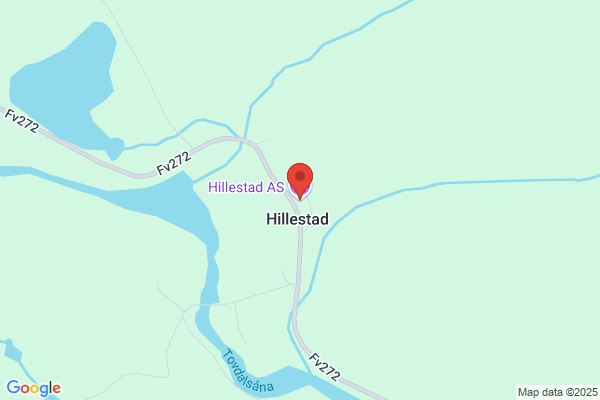 Hillestad Painting