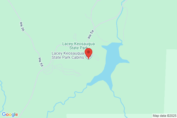 Cabin Rentals