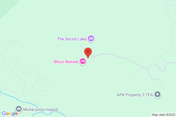 Black Hole Ranch