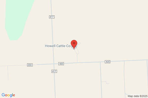 Howell Ben Cattle