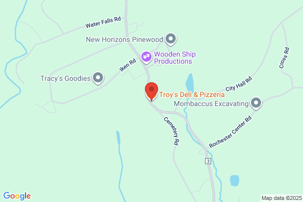 Troy's Deli & Pizzeria
