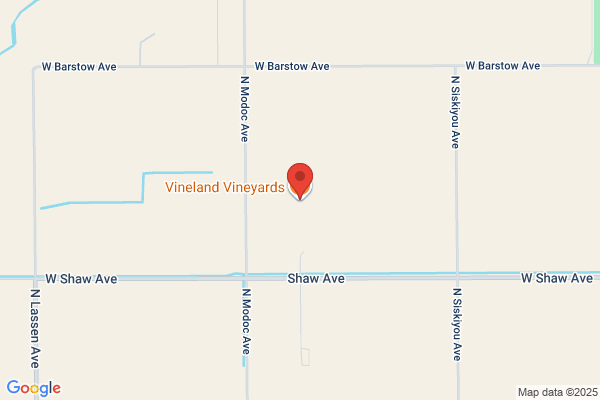 Vinland Vineyards