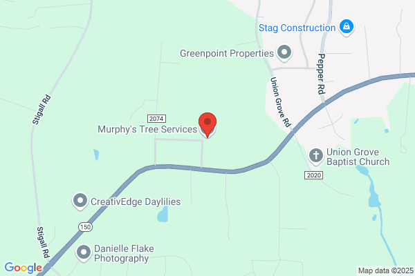 Murphy's Tree Service