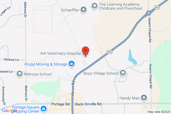 Ark Veterinary Hospital