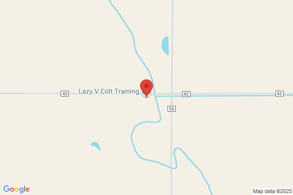 Lazy V Colt Training