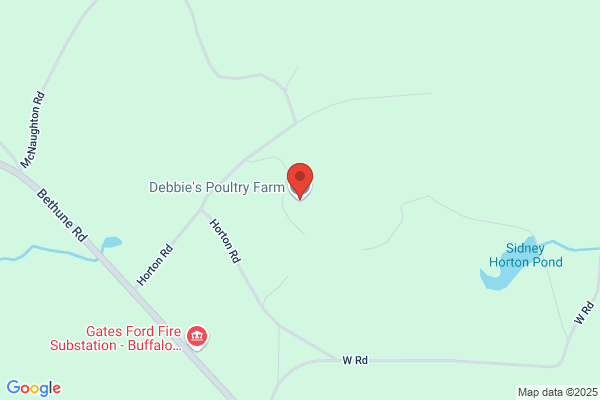 Debbie's Poultry Farm