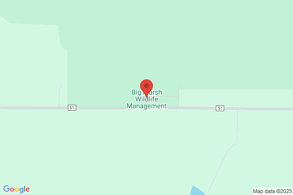 Big Marsh Wildlife Management Area