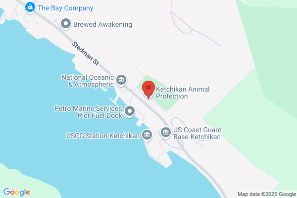 Ketchikan Animal Protection
