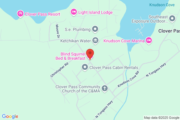 Blind Squirrel Bed & Breakfast