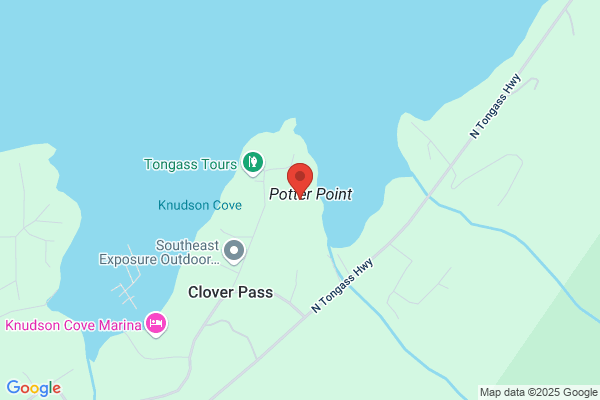 Mr. Fun Tours in Alaska