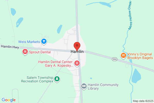Hamlin Ned Aia