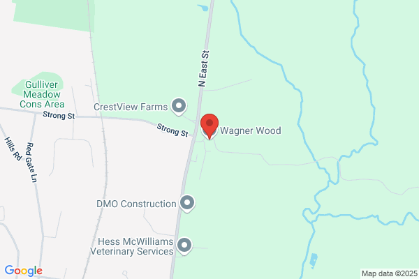 Wagner-Wood Co