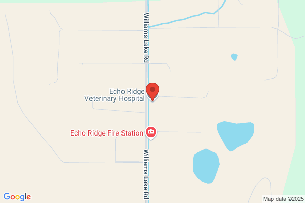 Echo Ridge Veterinary Hospital