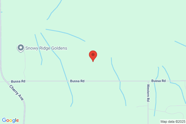 Dog Patch Nursery