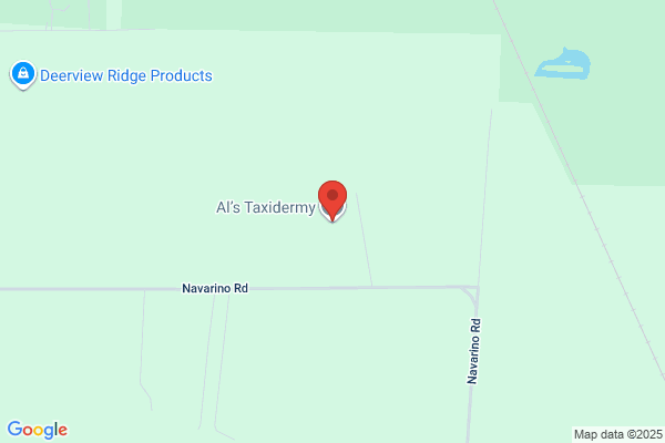Al's Taxidermy Studio