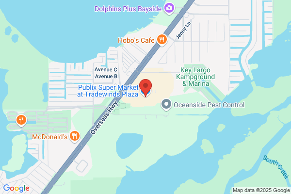 Publix Super Market at Tradewinds Plaza