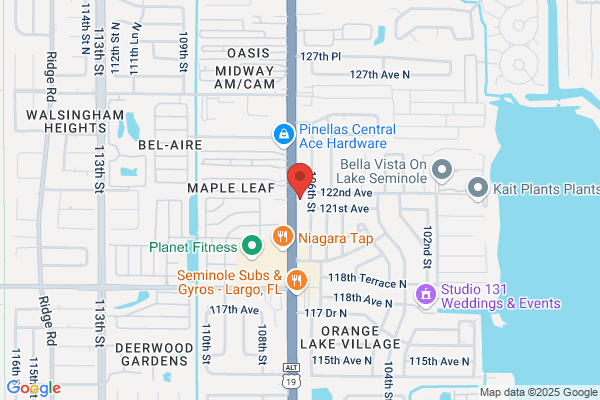 Gulf Coast Auto Mart Inc