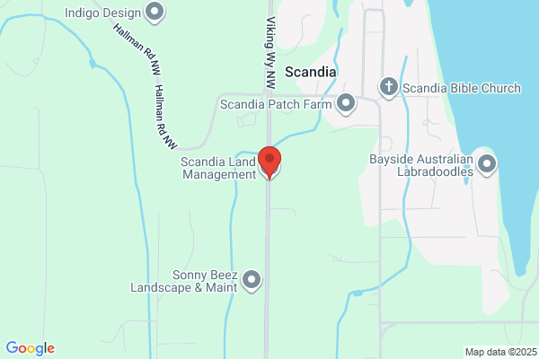 Scandia Enterprises