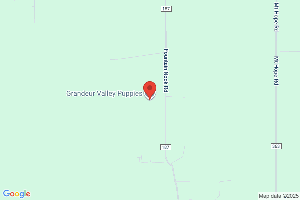 Grandeur Valley Puppies