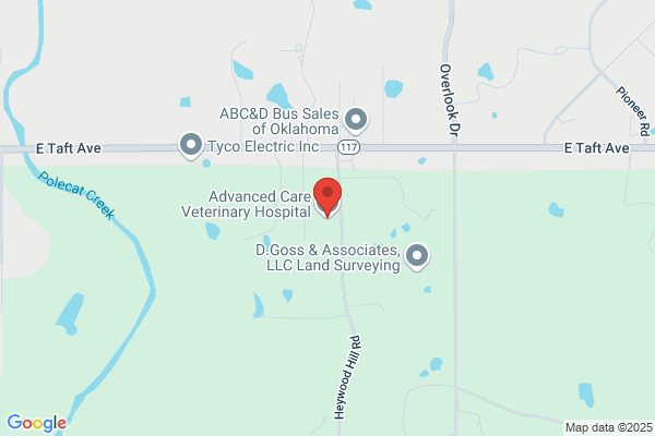 Advanced Care Veterinary Hospital