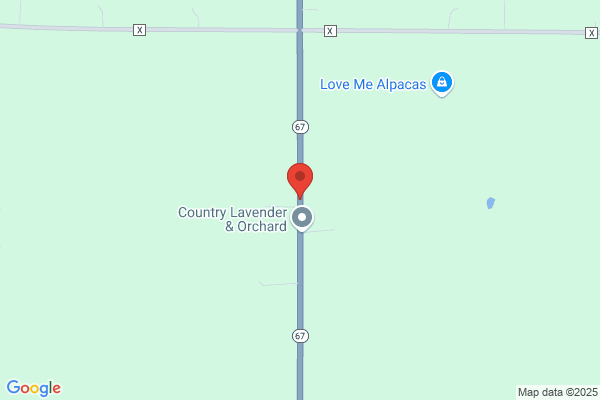 Bill's Hwy 67 Service