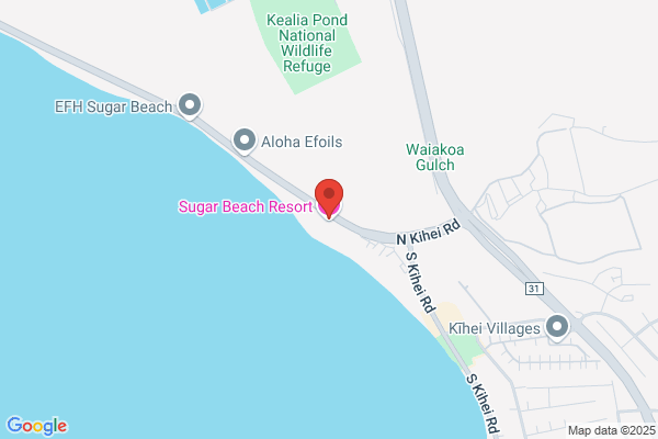 The Snorkel Store - South Maui