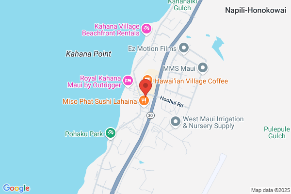 Healing Hands of Maui