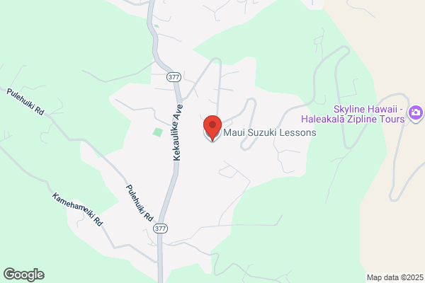 Maui Suzuki Lessons