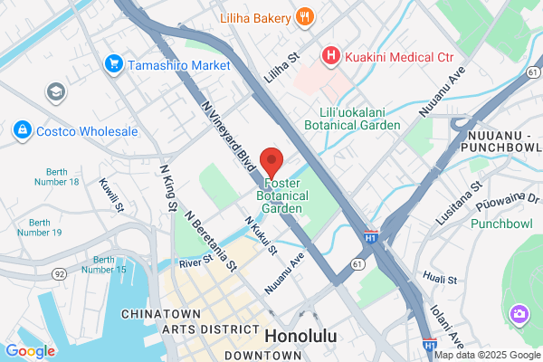 Epileptic Foundation of Maui