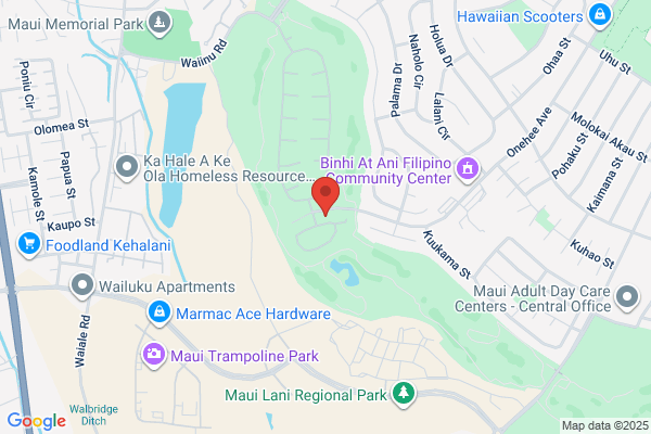 Mold Inspection Maui & Remediation