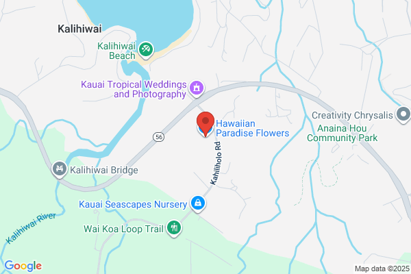 Hawaiian Paradise Flowers Llc