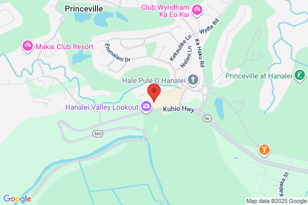 Suzi's Hawaii Realty & Travel