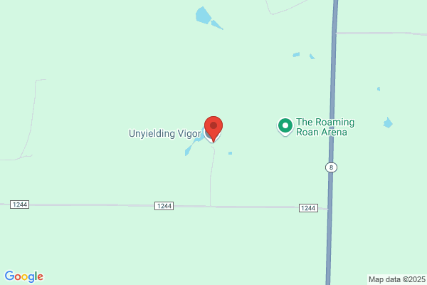 Unyielding Vigor