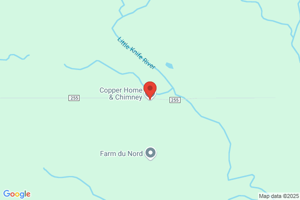 Copperfield Chimney Service Inc