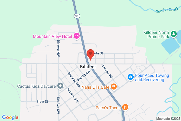 Ambulance, Killdeer