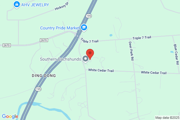 Absolute Towing