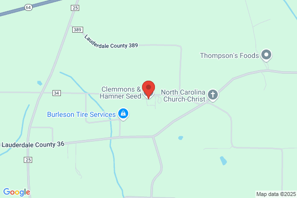 Clemmons & Hamner Seed Inc