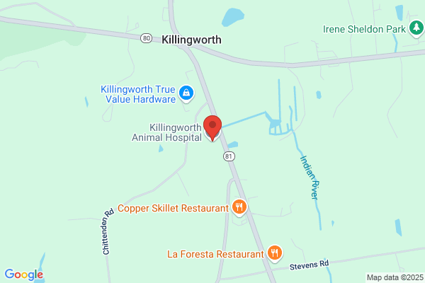Killingworth Animal Hospital