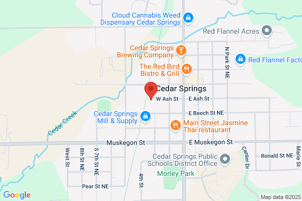 Integrated Circuit Systems Inc