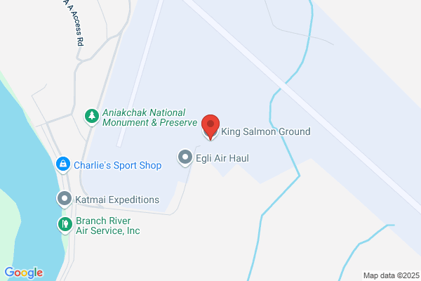 King Salmon Ground Service